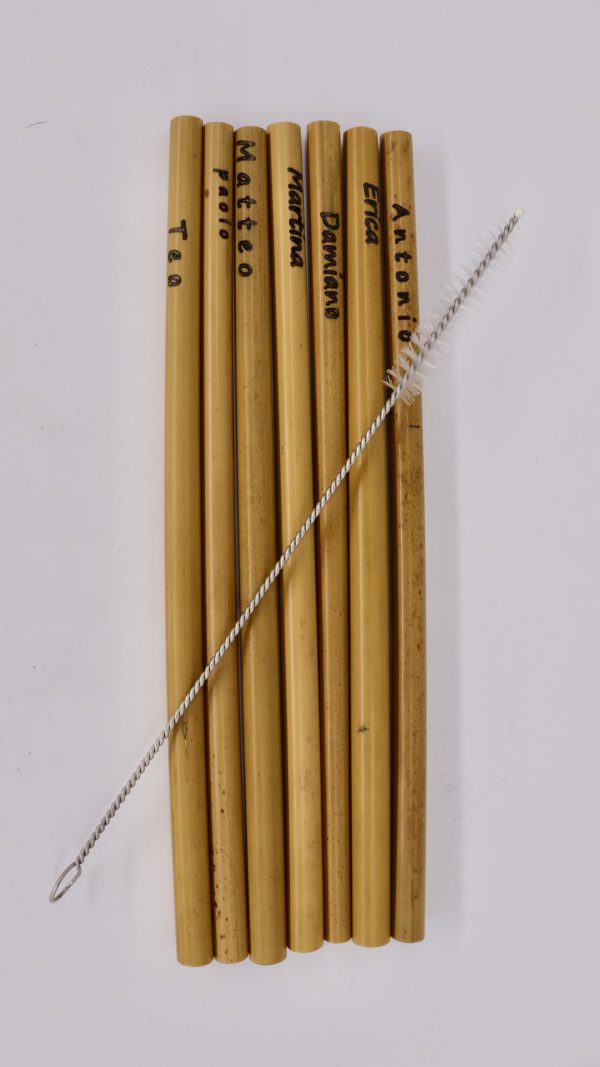 Bambus-Trinkhalm mit Bürstchen